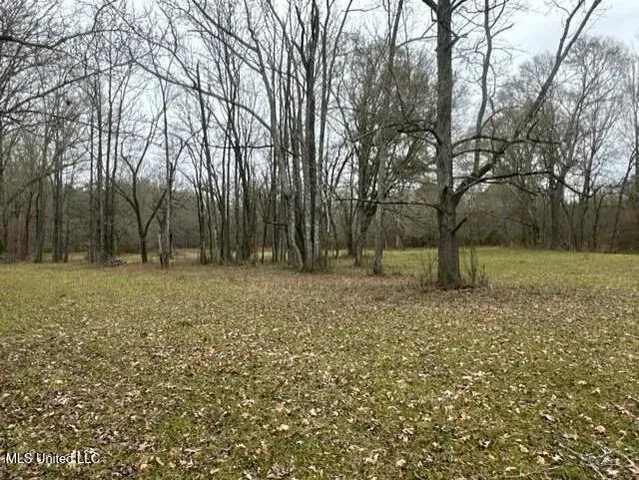 $1,359,000 | 1020 Jack Johnson Road, Crystal Springs, MS 39059