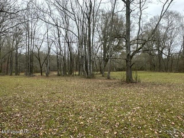 1020 Jack Johnson Road Crystal Springs, MS 39059 - Photo 46 of 125 thumbnail_IMG_9633