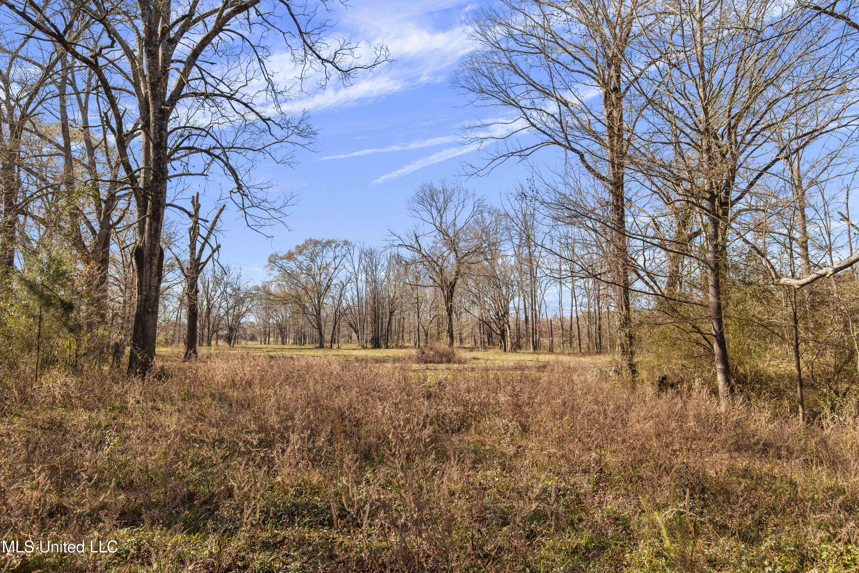 1020 Jack Johnson Road Crystal Springs, MS 39059 - Photo 47 of 125 1020 Jack Johnson-95