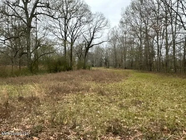 $1,359,000 | 1020 Jack Johnson Road, Crystal Springs, MS 39059