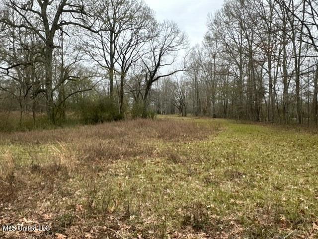 1020 Jack Johnson Road Crystal Springs, MS 39059 - Photo 48 of 125 thumbnail_IMG_9634