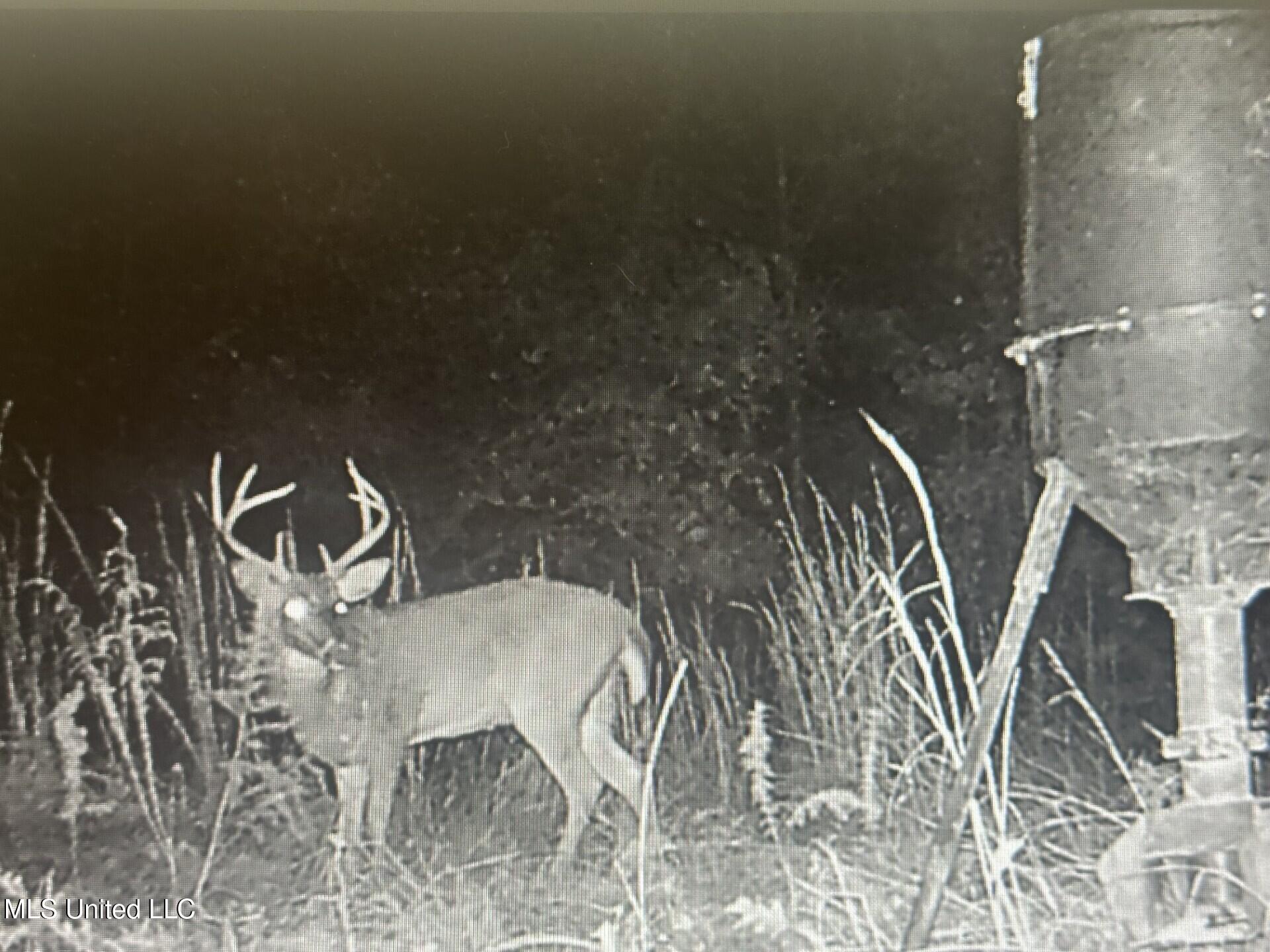 1020 Jack Johnson Road Crystal Springs, MS 39059 - Photo 49 of 125 thumbnail_IMG_0442