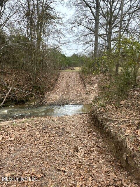 1020 Jack Johnson Road Crystal Springs, MS 39059 - Photo 50 of 125 IMG_9647