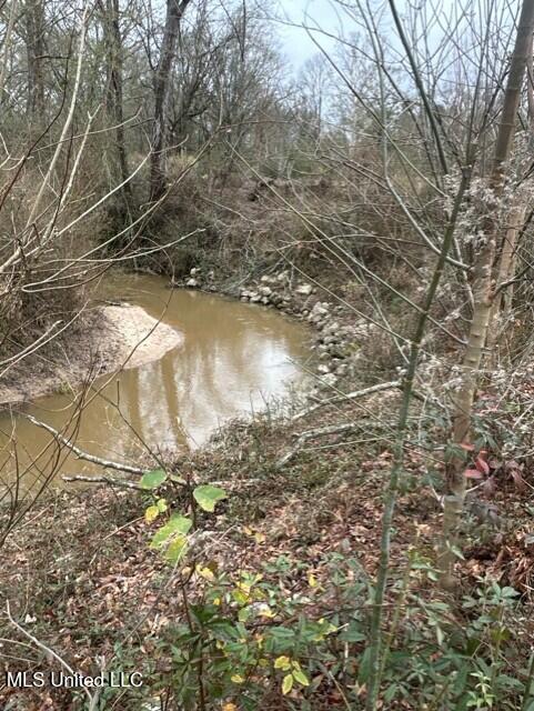 1020 Jack Johnson Road Crystal Springs, MS 39059 - Photo 51 of 125 thumbnail_IMG_9640