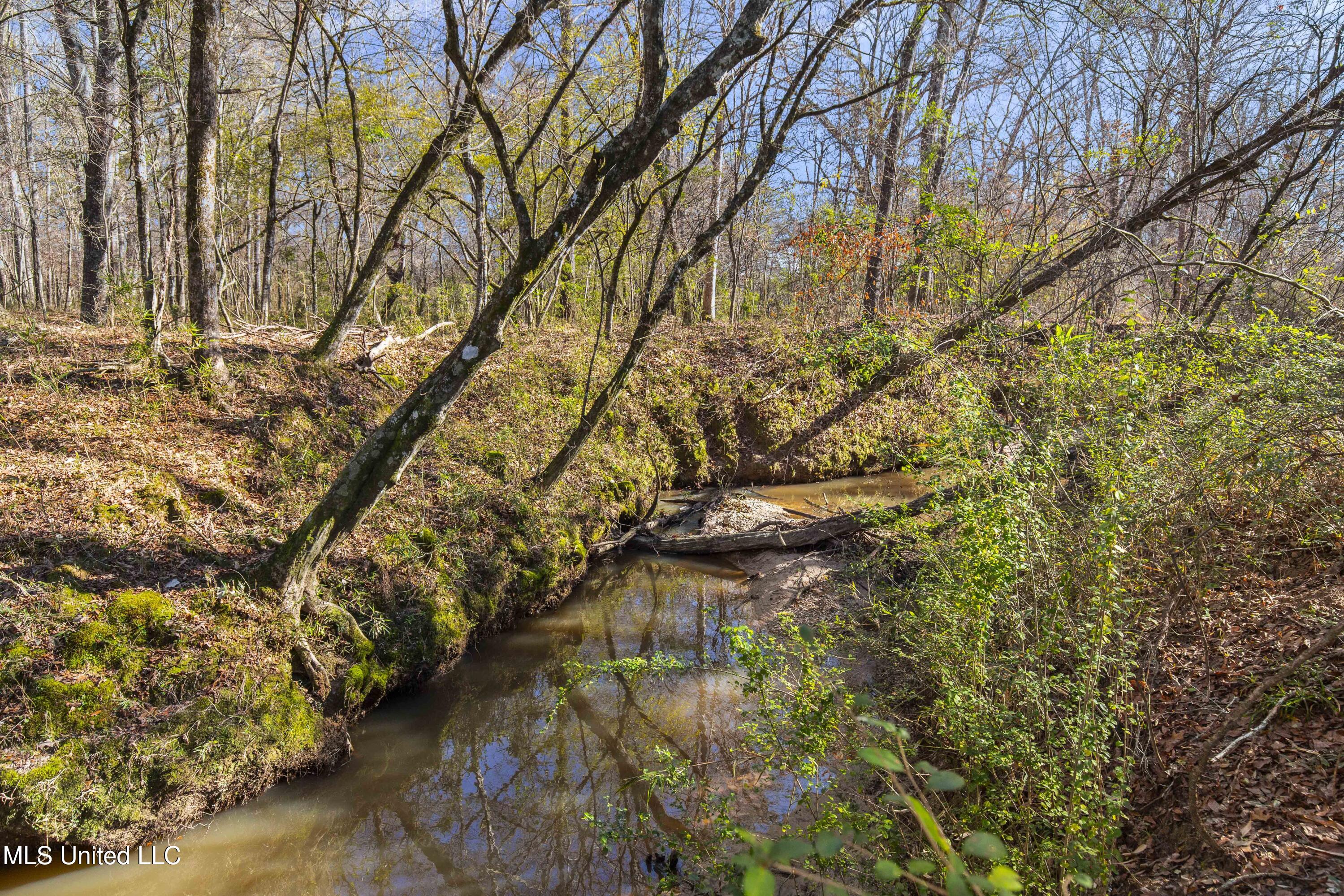 1020 Jack Johnson Road Crystal Springs, MS 39059 - Photo 52 of 125 1020 Jack Johnson-92