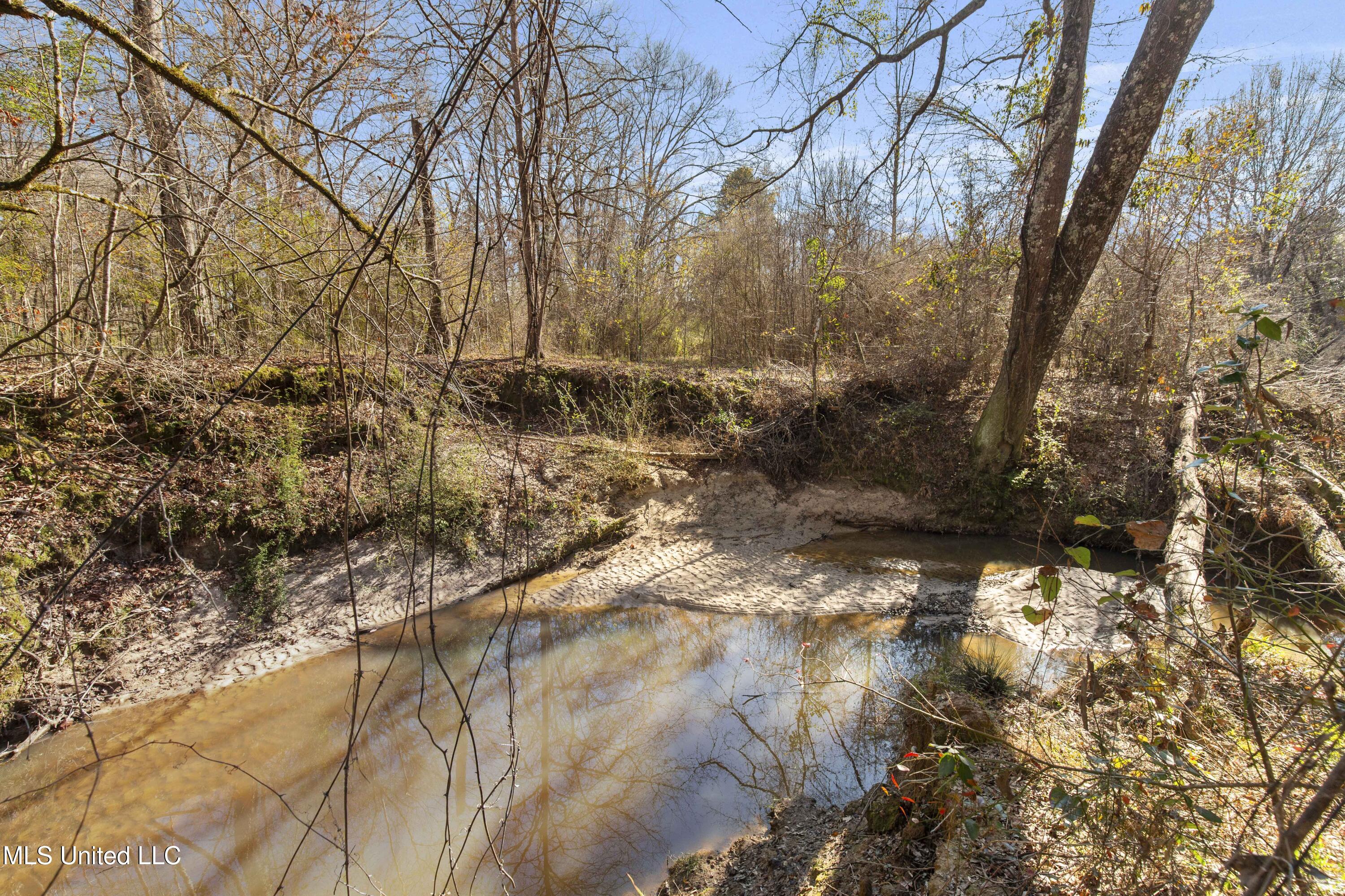 1020 Jack Johnson Road Crystal Springs, MS 39059 - Photo 55 of 125 1020 Jack Johnson-94