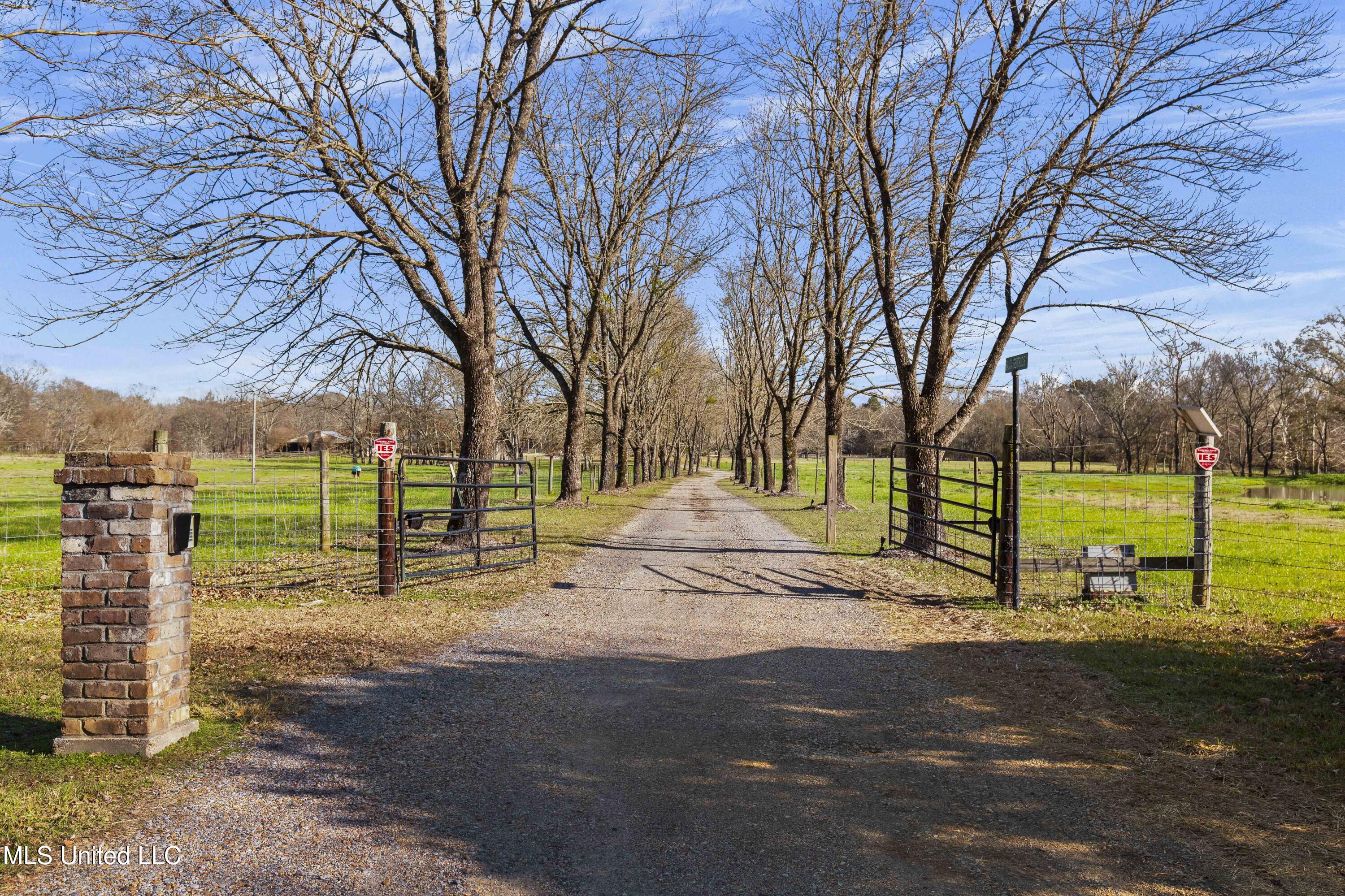 1020 Jack Johnson Road Crystal Springs, MS 39059 - Photo 57 of 125 1020 Jack Johnson-97