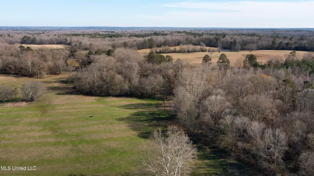 $1,359,000 | 1020 Jack Johnson Road, Crystal Springs, MS 39059