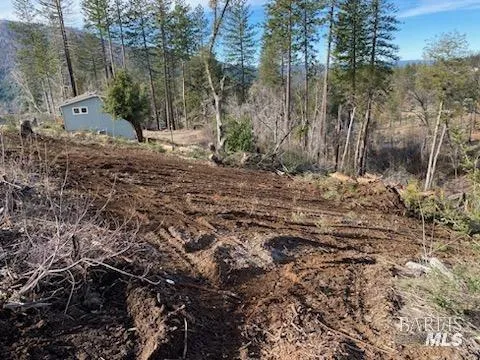 a view of a backyard of the house