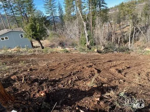 a view of a yard with a tree
