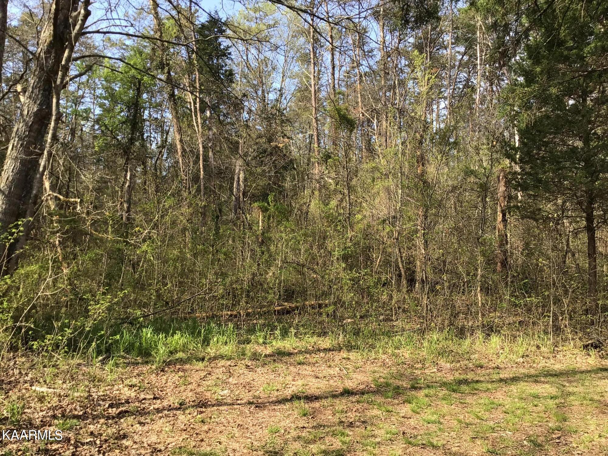 Tbd Harrison Lane Rutledge, TN 37861 - Photo 2 of 9 IMG_0089