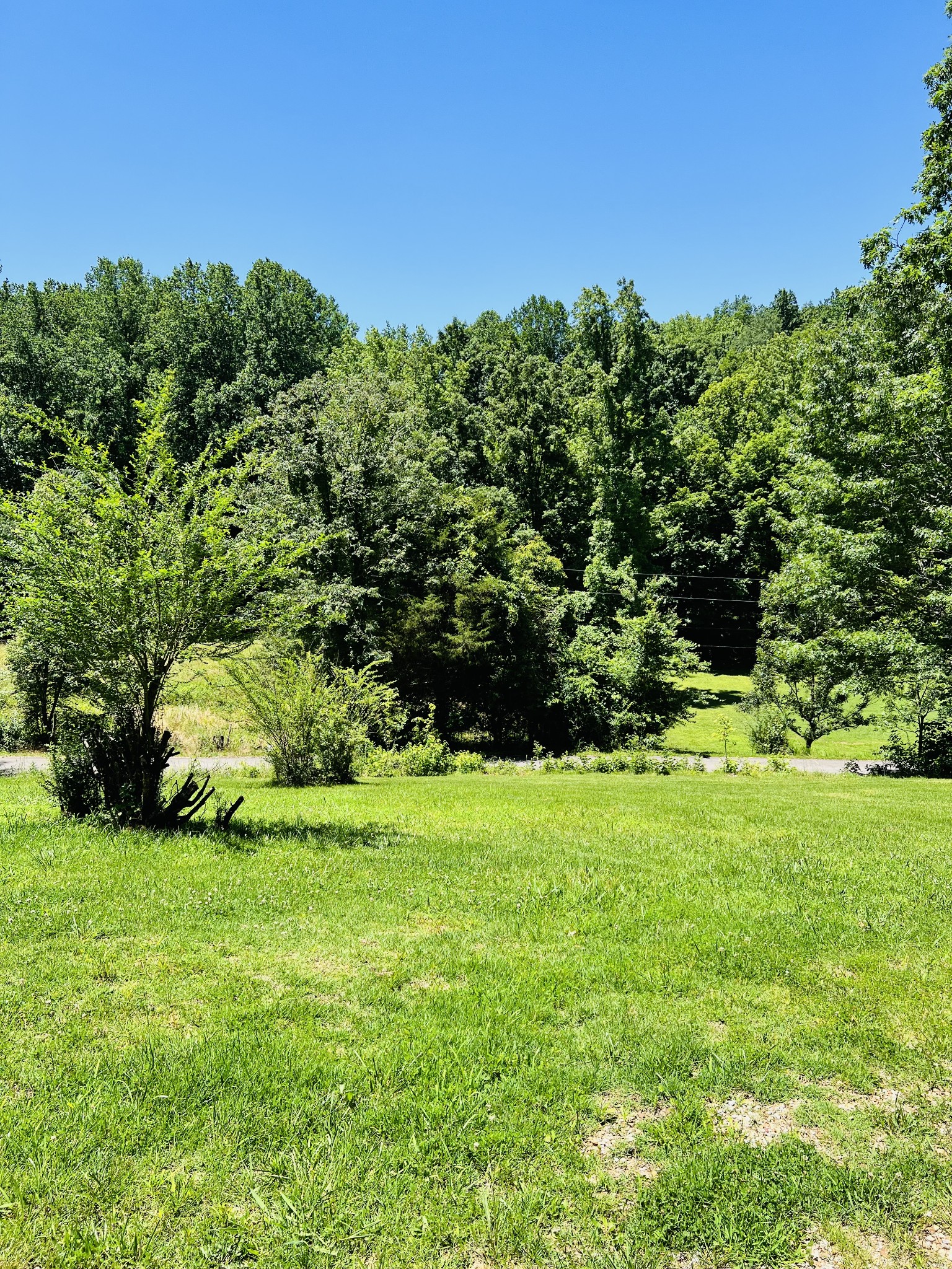 1434 Hatcher Hollow Road McEwen, TN 37101 - Photo 10 of 21 Gallery Image 10