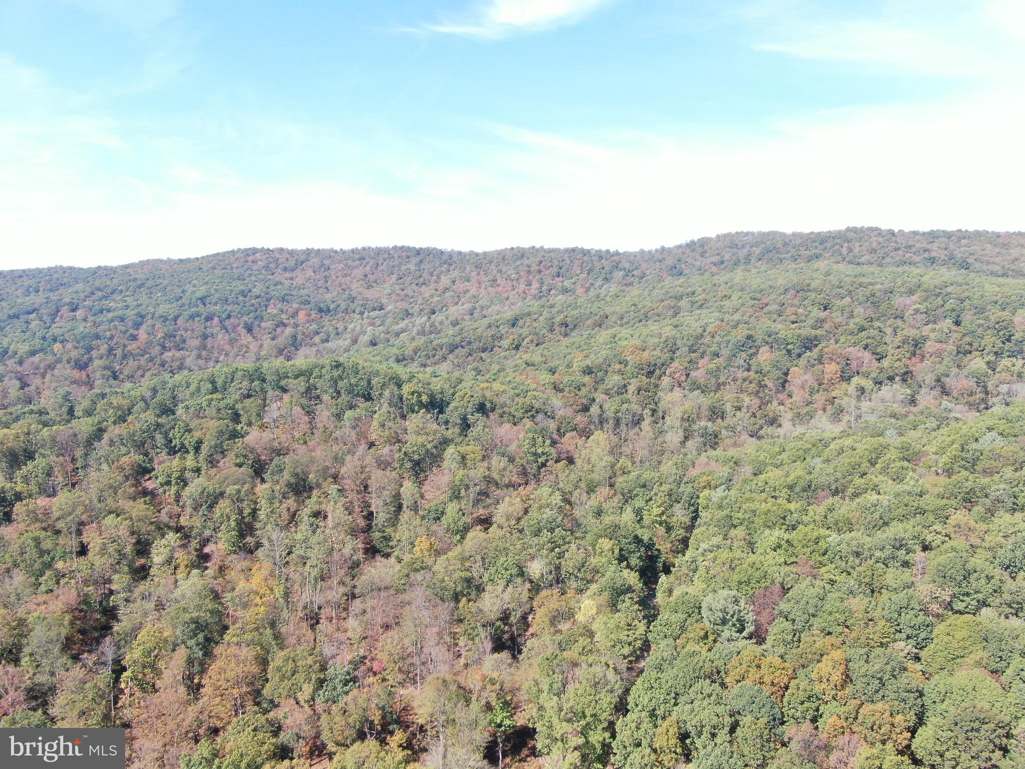 101 /- Acres Road Upperstrasburg, PA 17265 - Photo 3 of 9