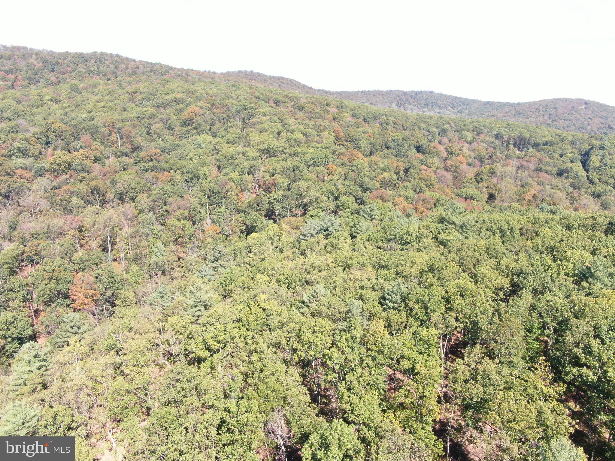 101 /- Acres Road Upperstrasburg, PA 17265 - Photo 4 of 9