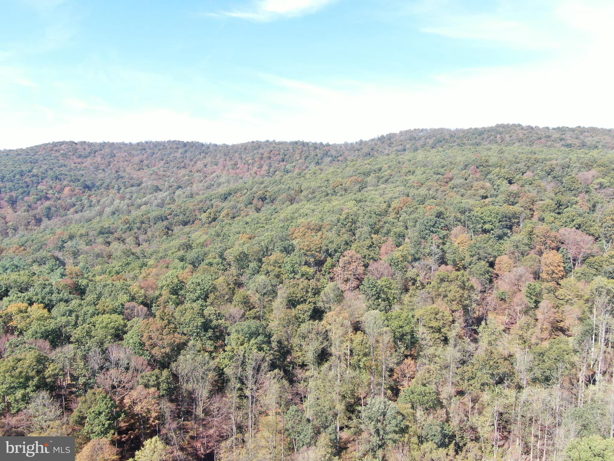 101 /- Acres Road Upperstrasburg, PA 17265 - Photo 7 of 9