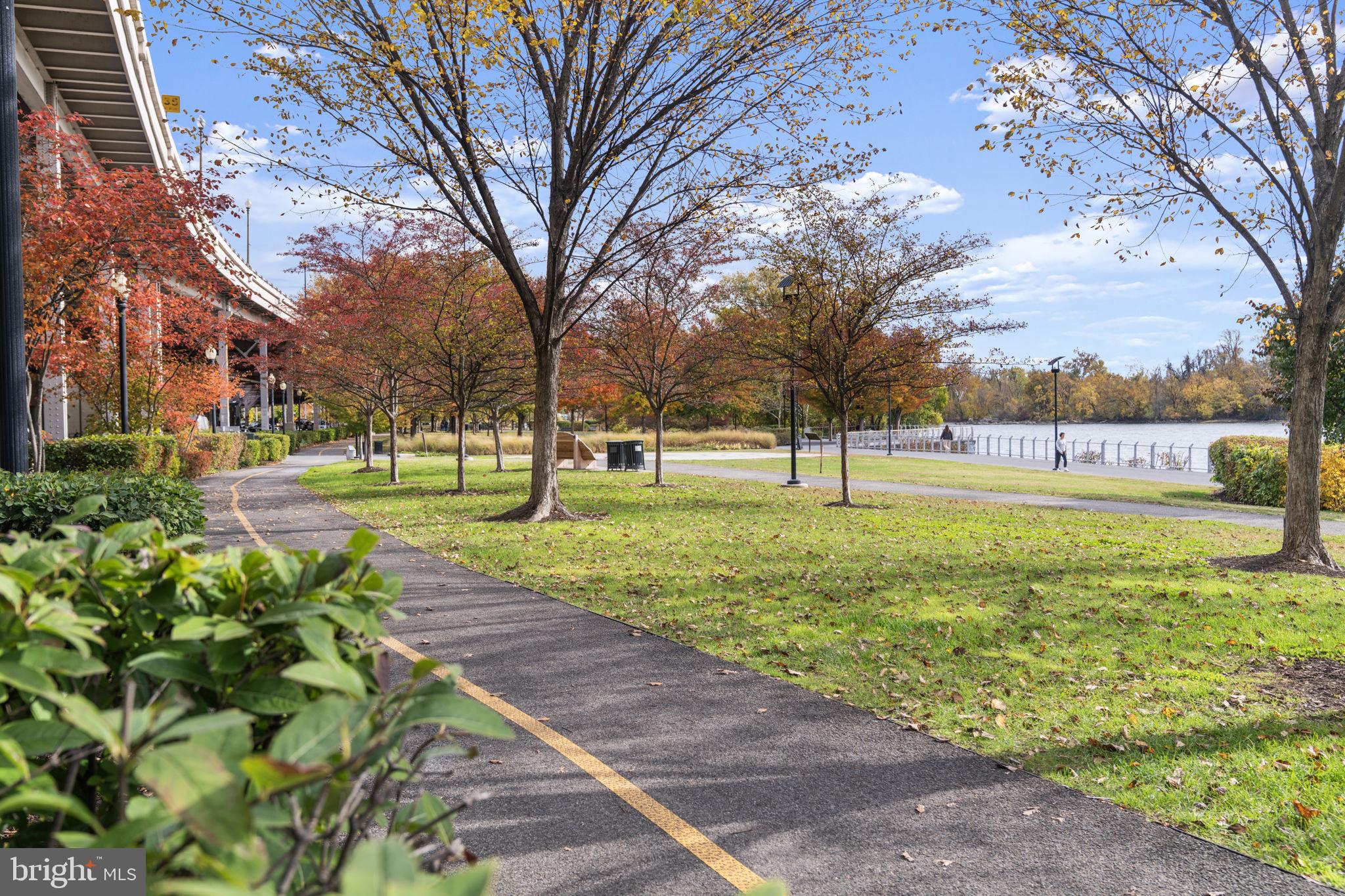 3303 Water Street Northwest, Unit 4B Washington, DC 20007 - Photo 60 of 66 a view of a park with large trees
