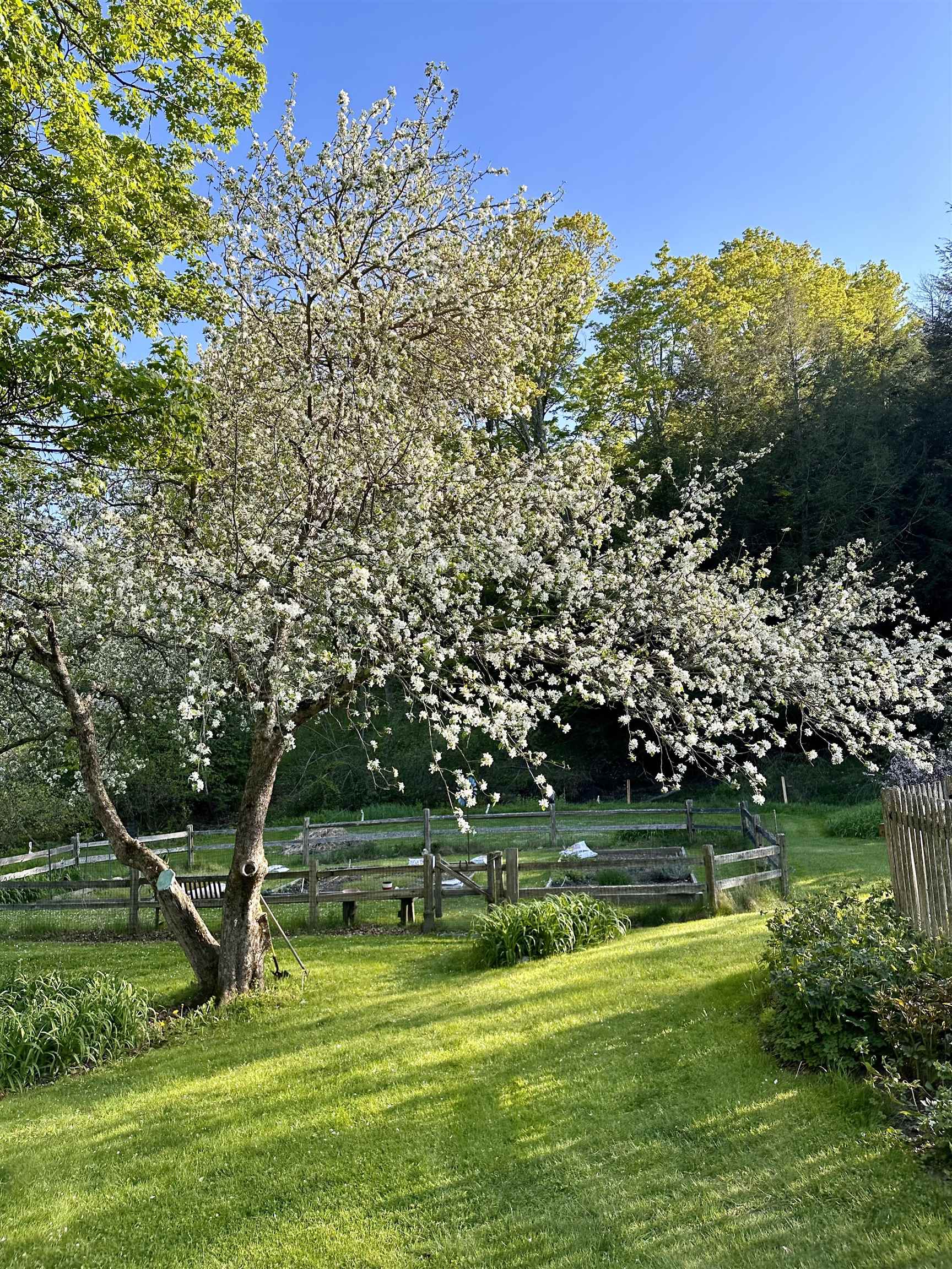 3924 Sweet Pond Road Guilford, VT 05301 - Photo 51 of 51