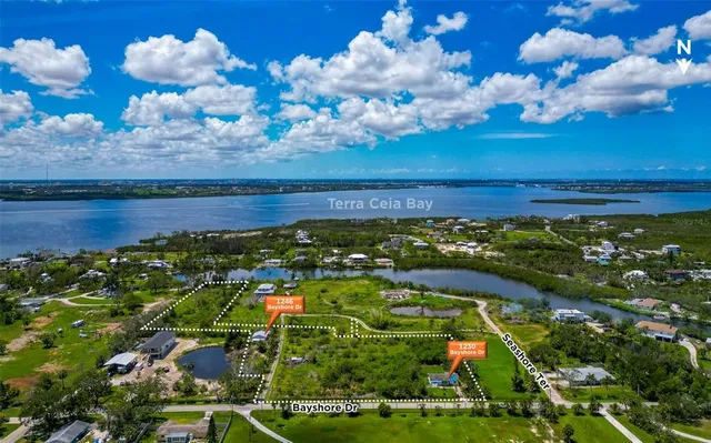 a view of a lot of flowers