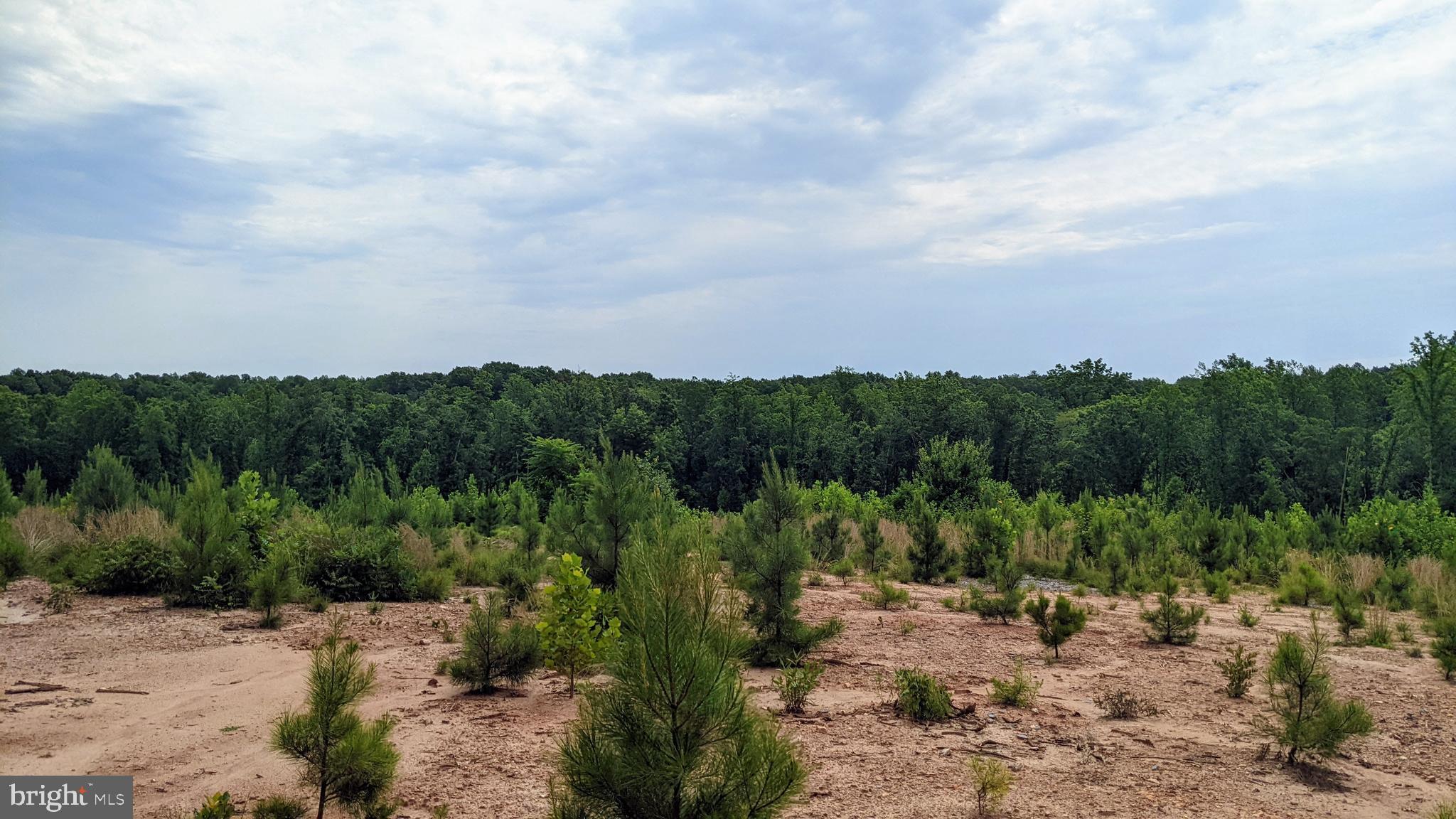 Vawter Corner Road Louisa, VA 23093 - Photo 2 of 5