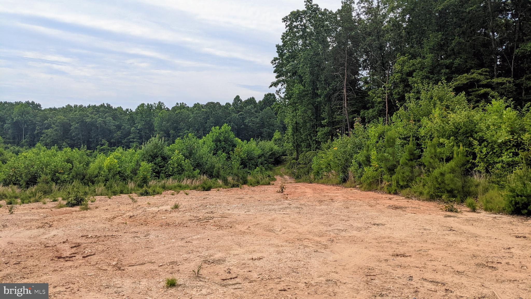 Vawter Corner Road Louisa, VA 23093 - Photo 3 of 5