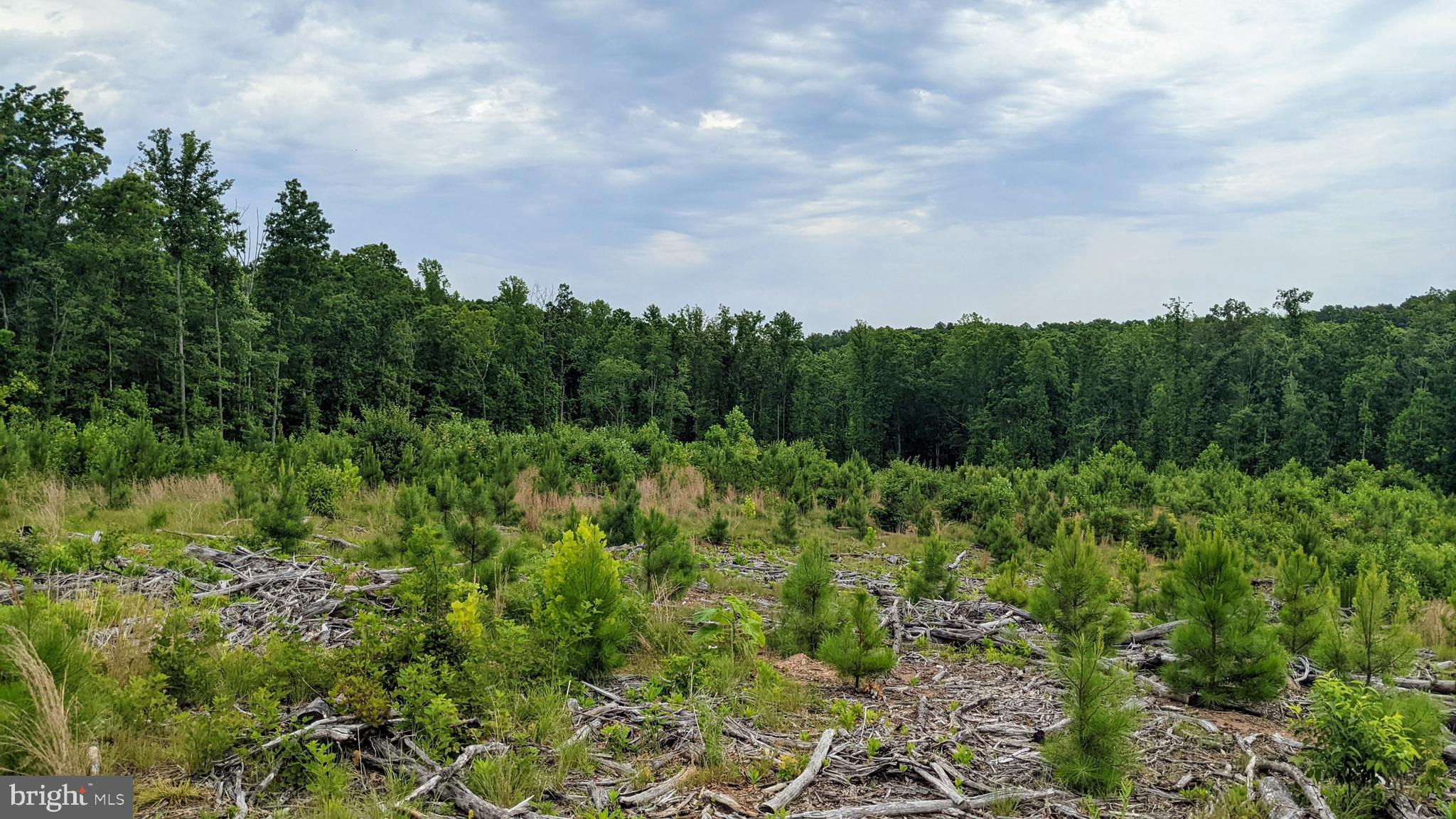 Vawter Corner Road Louisa, VA 23093 - Photo 4 of 5