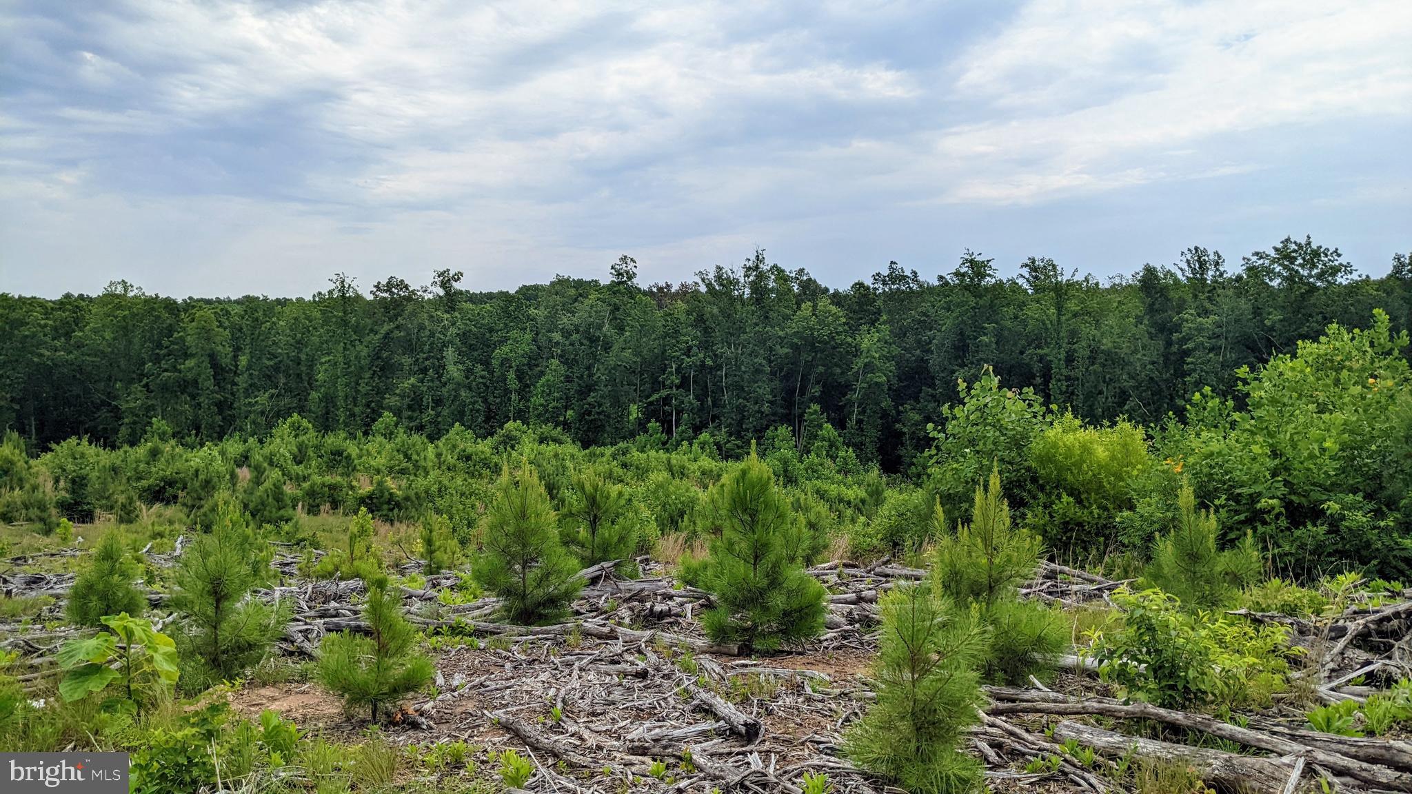 Vawter Corner Road Louisa, VA 23093 - Photo 5 of 5