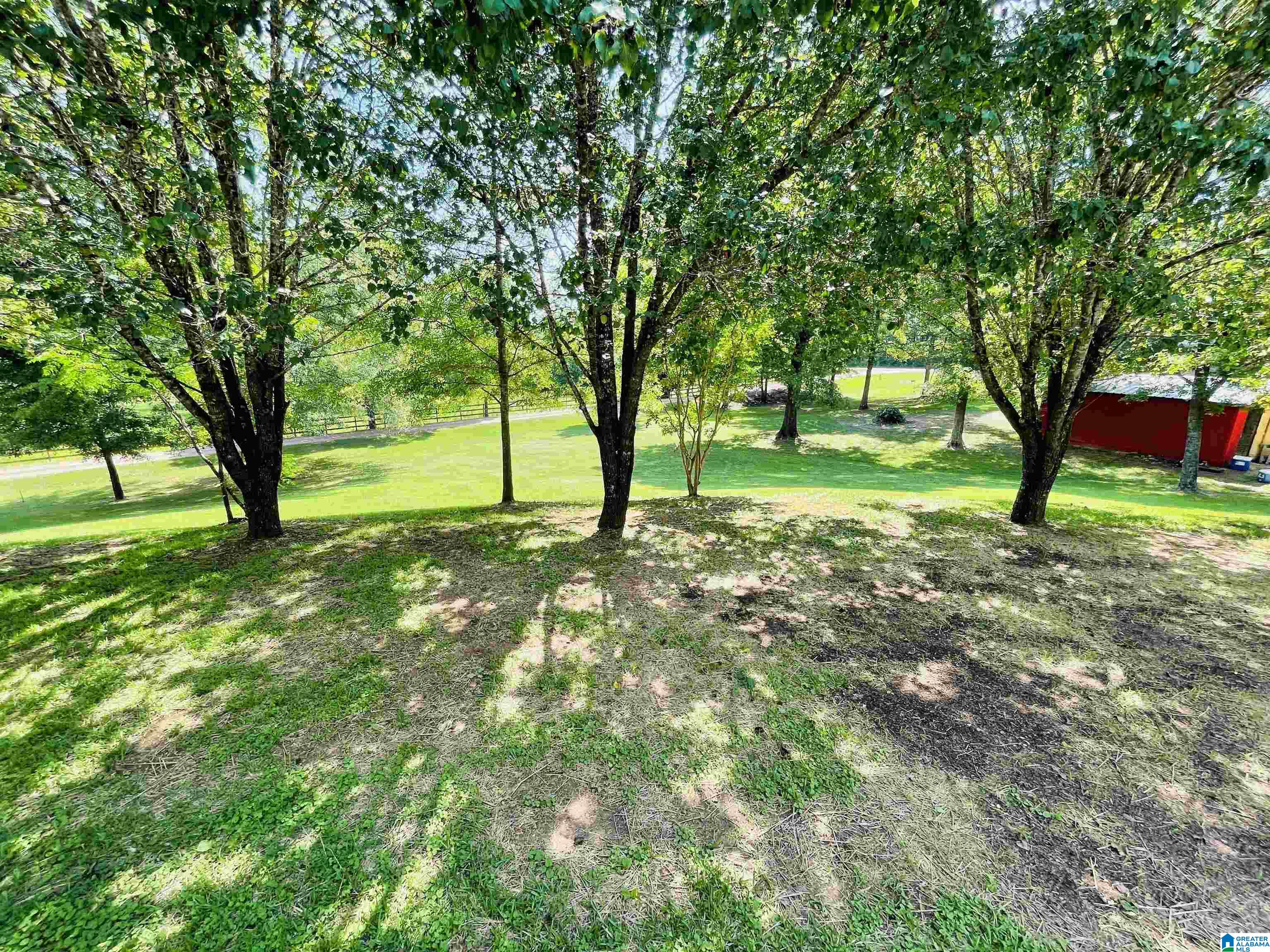 8100 Wolf Creek Road Pell City, AL 35128 - Photo 12 of 22