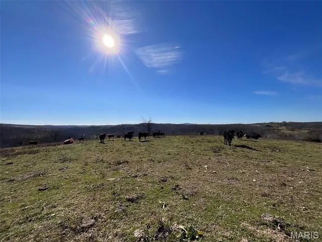 $149,900 | 594 County Road 873, Thornfield, MO 65762