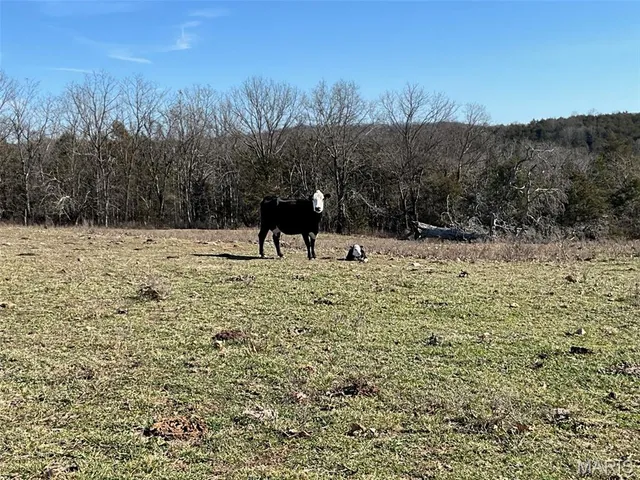 $149,900 | 594 County Road 873, Thornfield, MO 65762