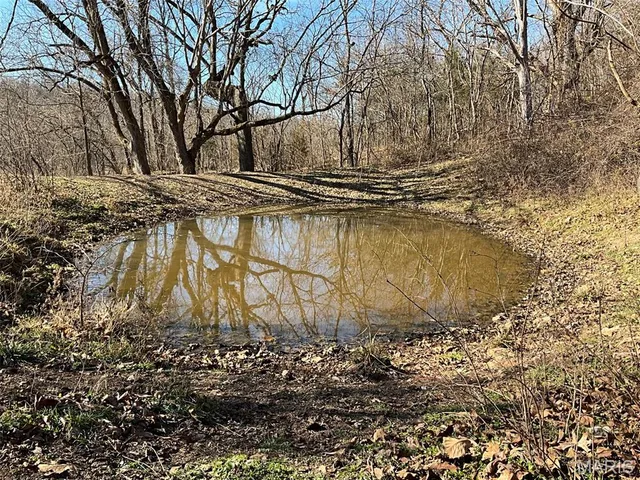 $149,900 | 594 County Road 873, Thornfield, MO 65762