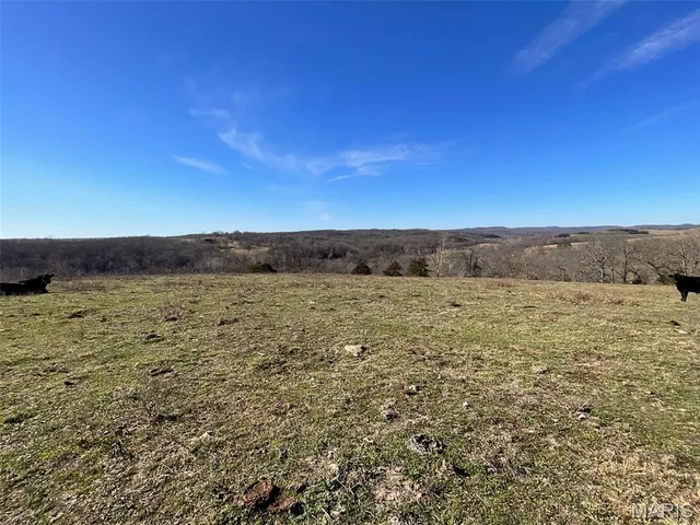 $149,900 | 594 County Road 873, Thornfield, MO 65762