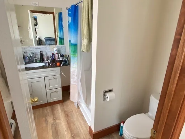 a bathroom with a sink and a toilet
