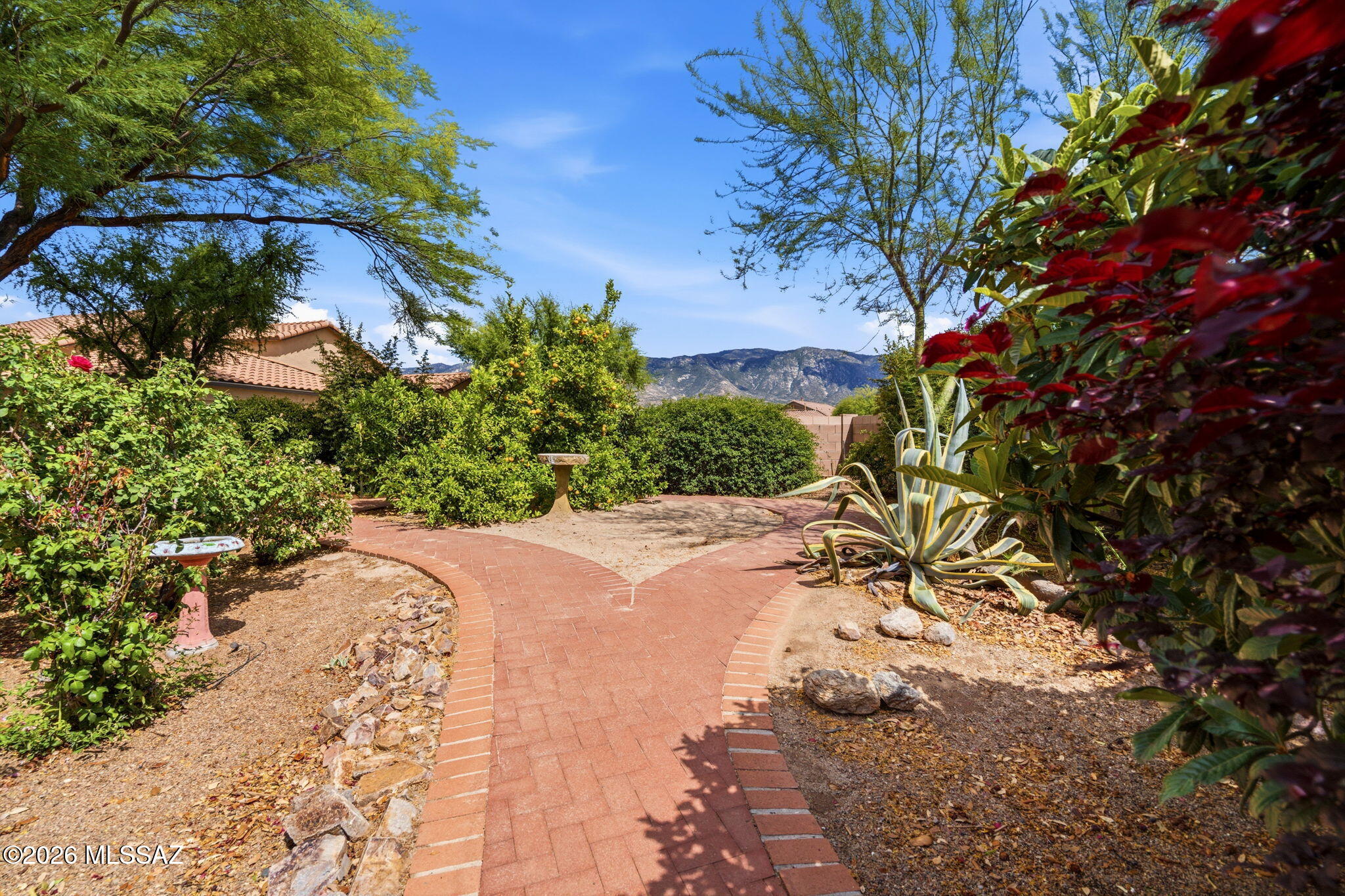 15044 North Rugged Lark Drive Tucson, AZ 85739 - Photo 9 of 46
