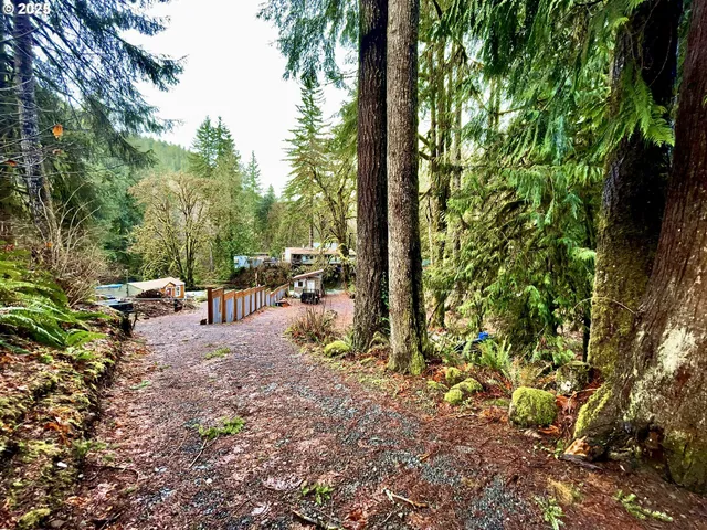 a view of a backyard with swimming pool