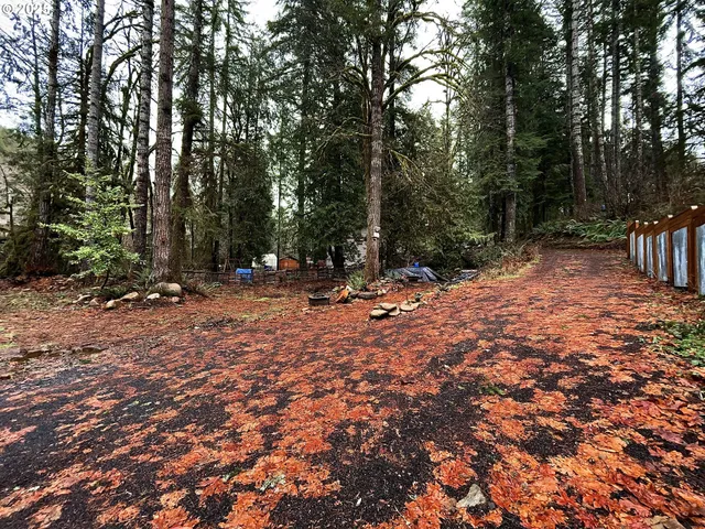 a view of outdoor space with trees