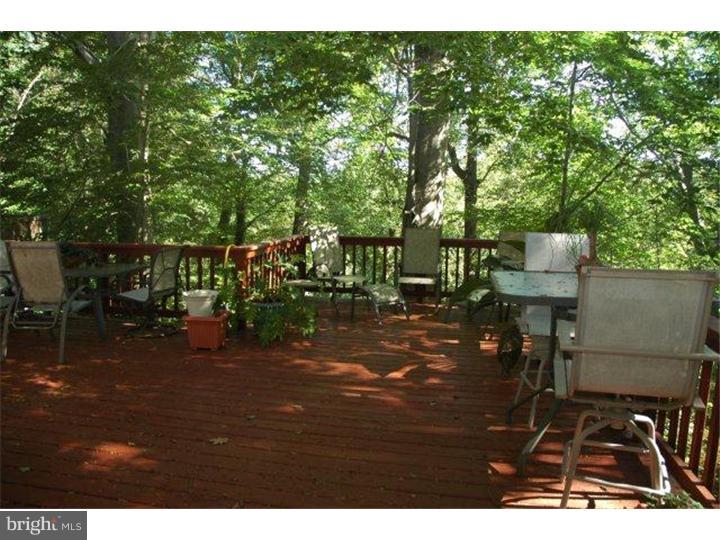 22 Springtree Lane Yardley, PA 19067 - Photo 8 of 10 Gallery Image 8