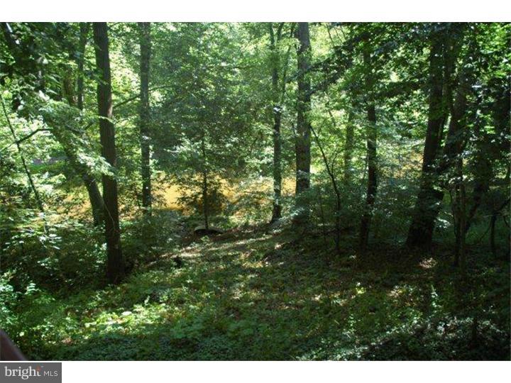 22 Springtree Lane Yardley, PA 19067 - Photo 10 of 10 Gallery Image 10