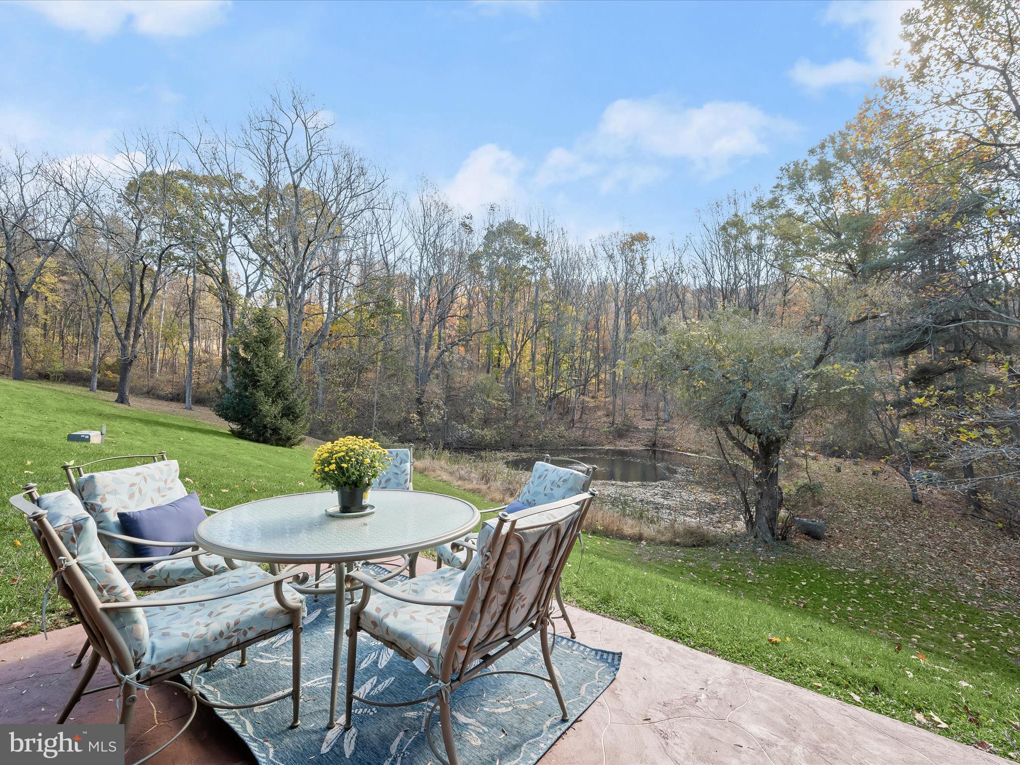 7605 Stewart Hill Road Adamstown, MD 21710 - Photo 20 of 139 Lower patio w/incredible view of pond and woods