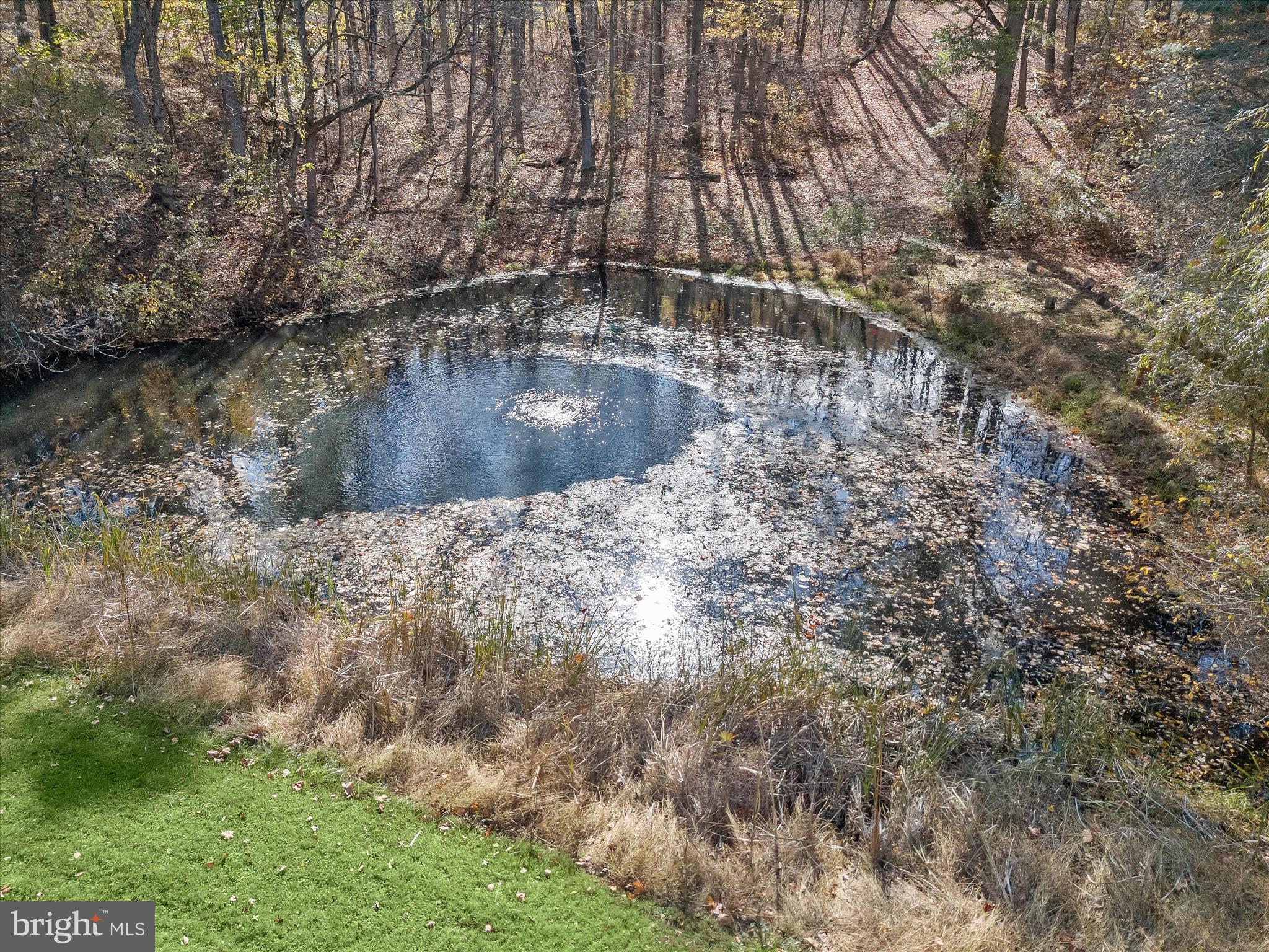 7605 Stewart Hill Road Adamstown, MD 21710 - Photo 47 of 139 Pond on the side of Sugar Loaf Mountain
