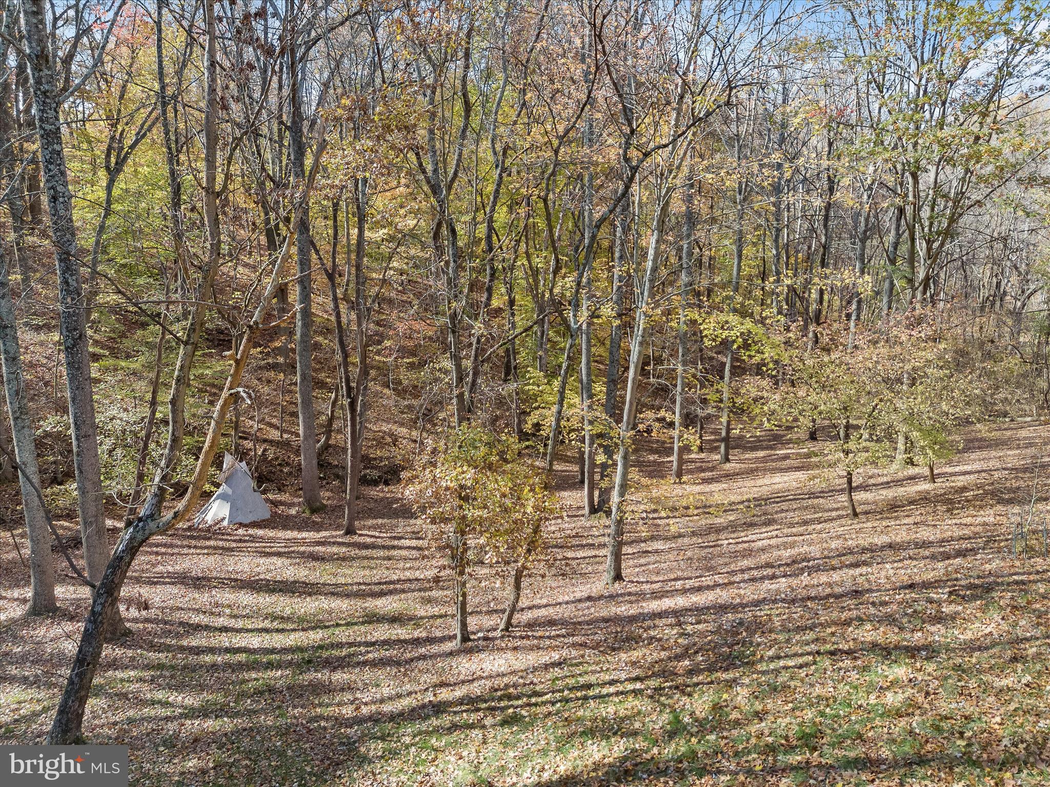 7605 Stewart Hill Road Adamstown, MD 21710 - Photo 48 of 139 Your very own tepee!