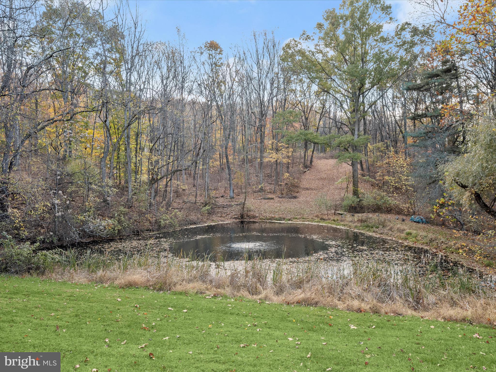 7605 Stewart Hill Road Adamstown, MD 21710 - Photo 69 of 139 The pond....