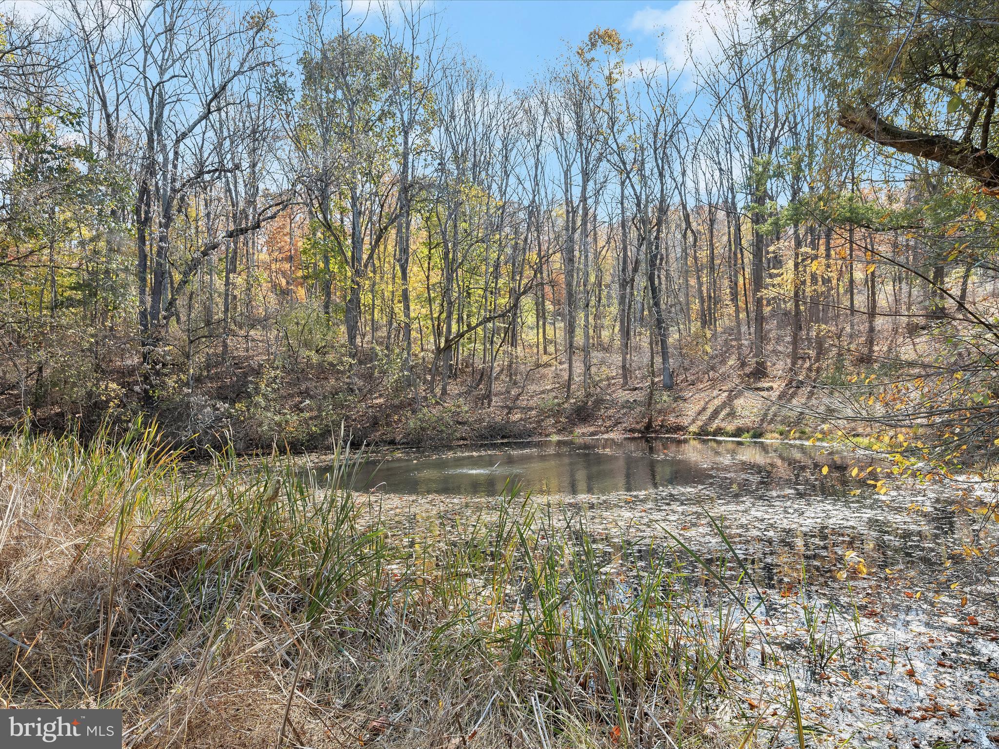 7605 Stewart Hill Road Adamstown, MD 21710 - Photo 70 of 139 Nature in all it's beauty