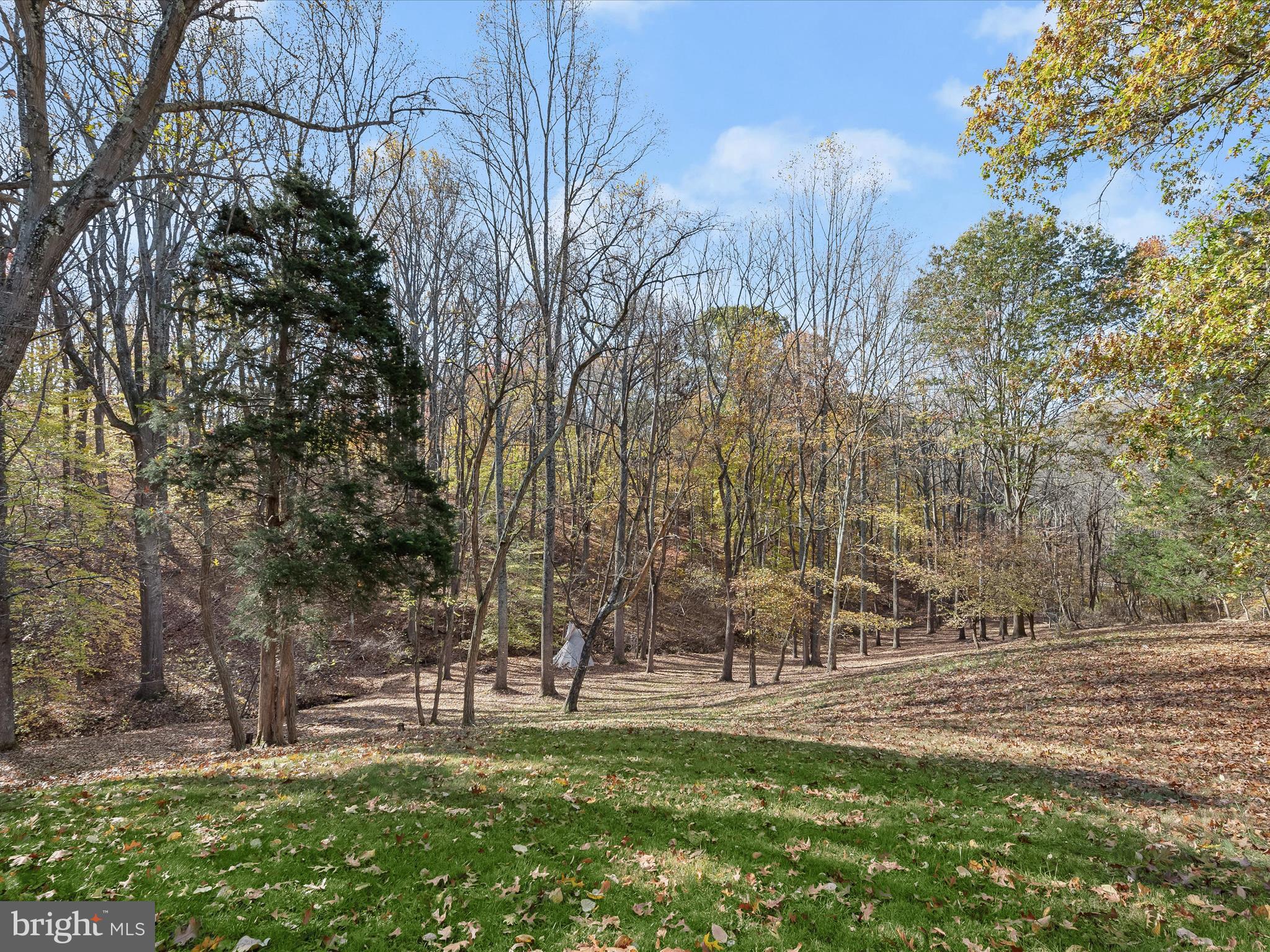 7605 Stewart Hill Road Adamstown, MD 21710 - Photo 79 of 139 So much space!