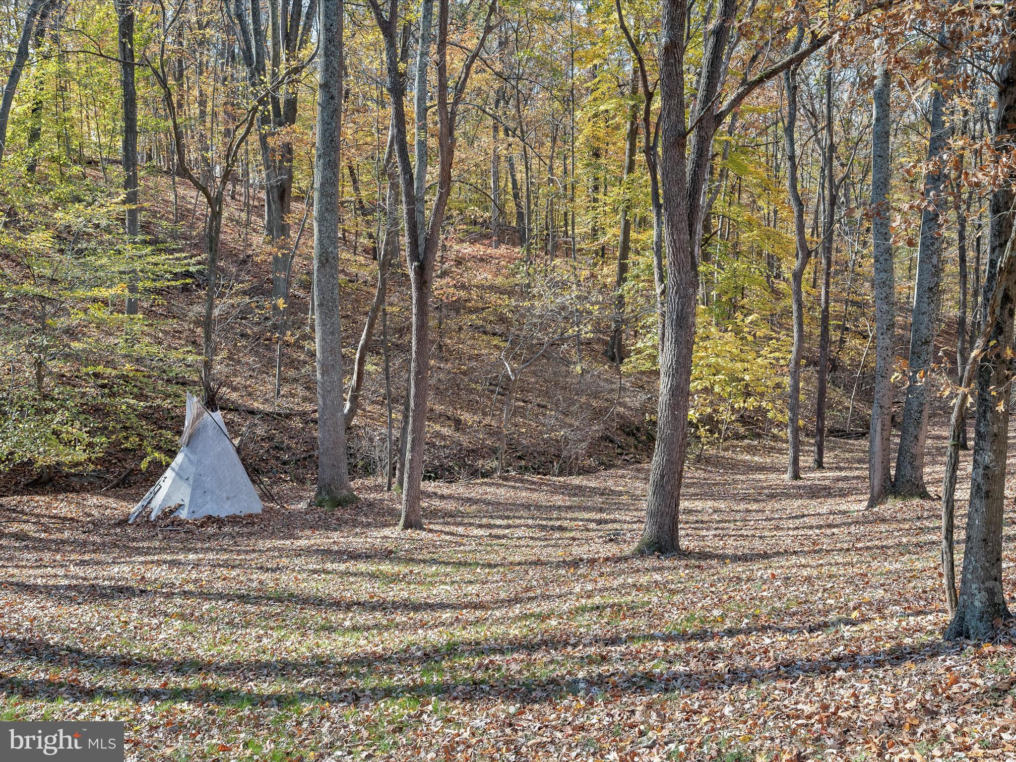 7605 Stewart Hill Road Adamstown, MD 21710 - Photo 80 of 139 Tepee