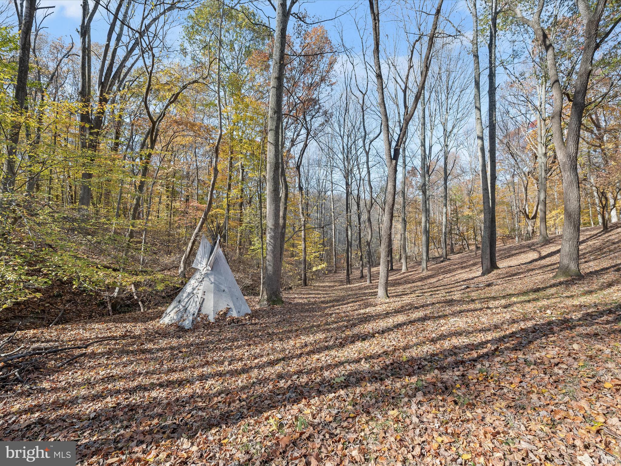 7605 Stewart Hill Road Adamstown, MD 21710 - Photo 81 of 139 For fun all year long...