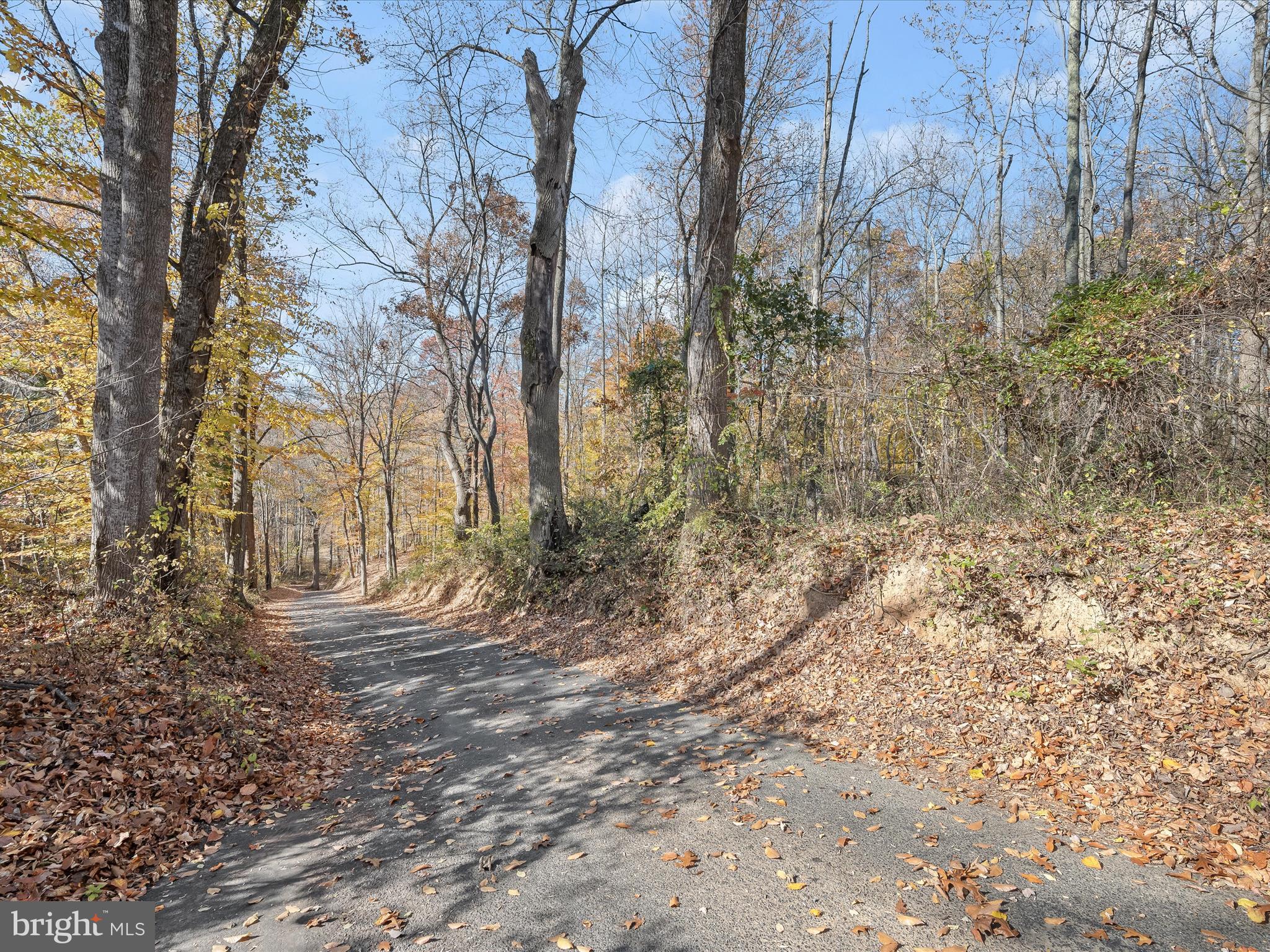7605 Stewart Hill Road Adamstown, MD 21710 - Photo 84 of 139 Driveway