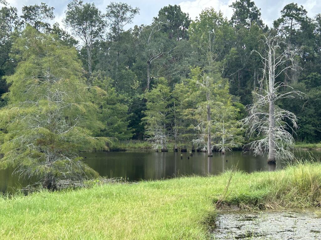 997 Glen Lawrence Road Dothan, AL 36303 - Photo 6 of 26 Gallery Image 6