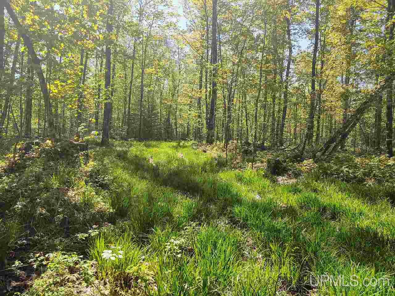 Tbd-parcel Point Abbaye Road Lanse, MI 49946 - Photo 20 of 25