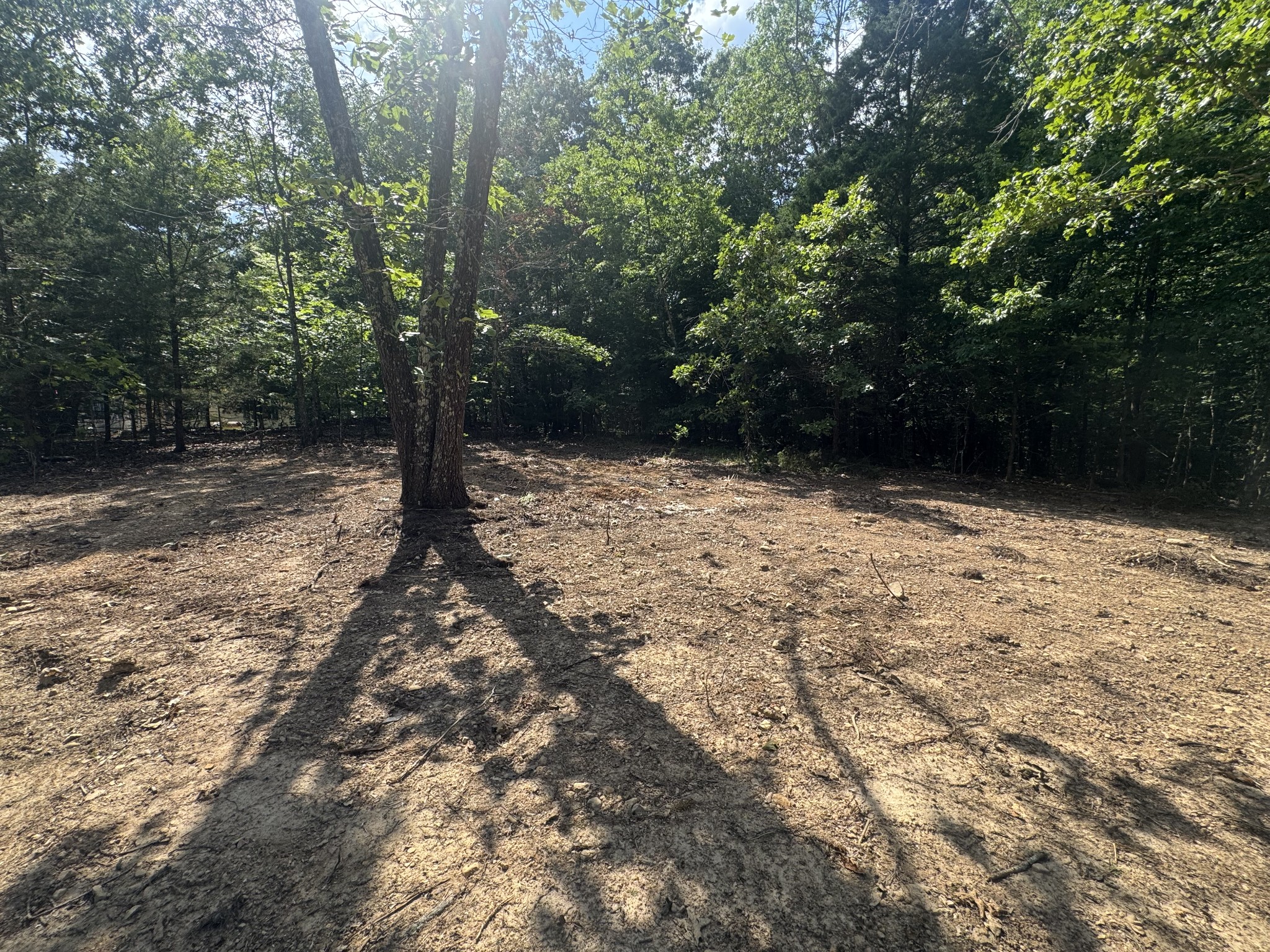1 Commissary Ridge Road Indian Mound, TN 37079 - Photo 7 of 9 a view of a yard with trees
