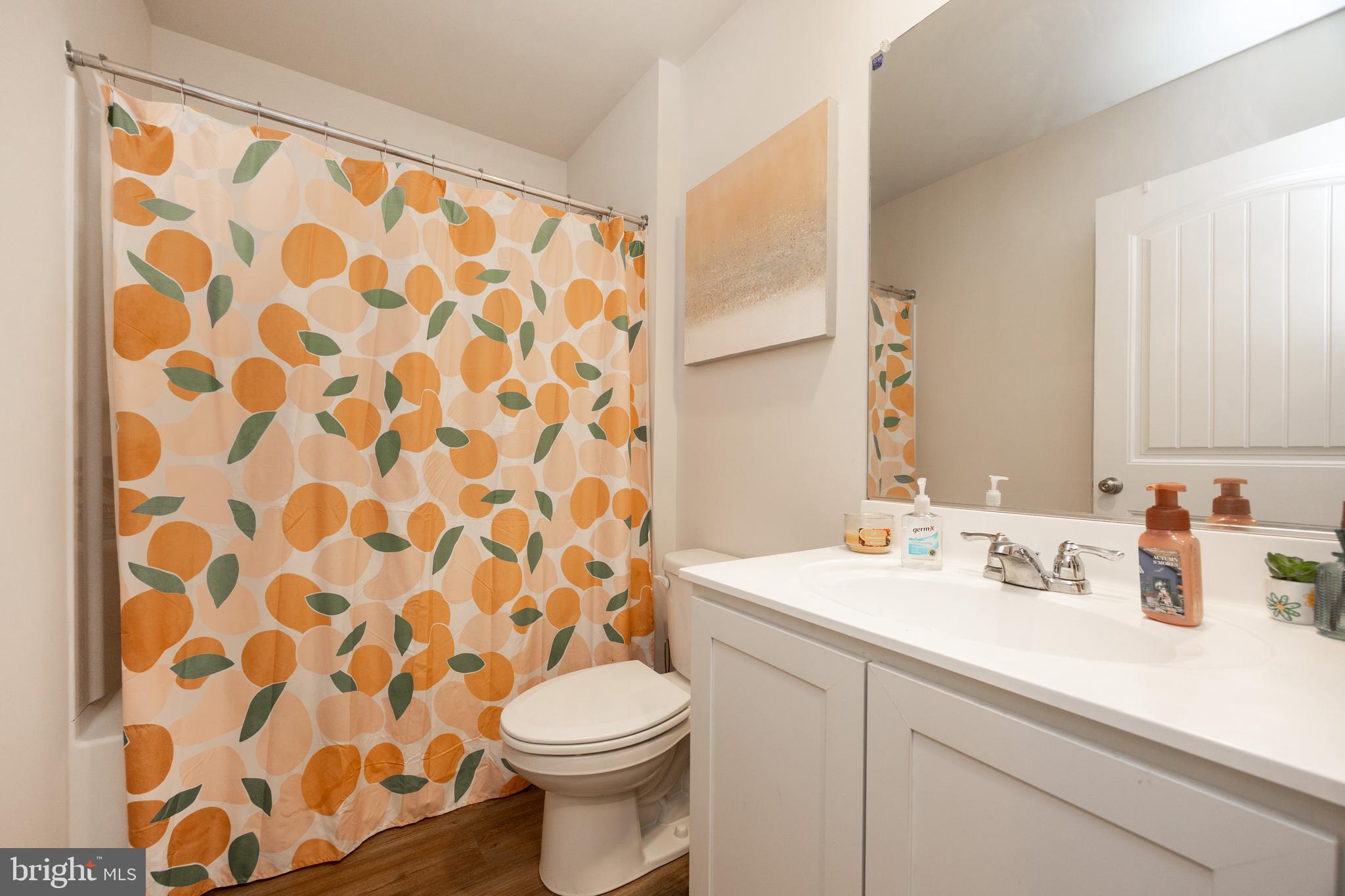 21 Clipper Street Smyrna, DE 19977 - Photo 24 of 39 a bathroom with a sink and a mirror